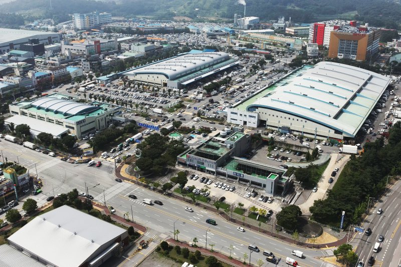 광주 서부농수산물 도매시장.(광주시 제공. 재판매 및 DB 금지)
