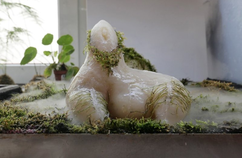 '아가몬 5' (출처=연합뉴스)