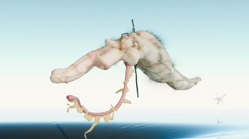 '살의 여덟 정령 - 간' 영상 일부 (출처=연합뉴스)