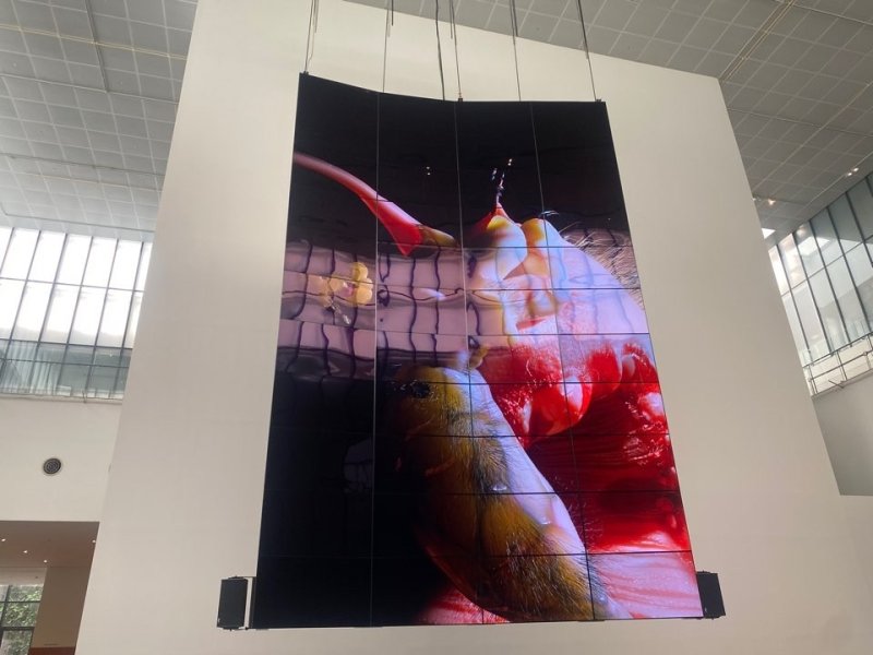 전시 전경 (출처=연합뉴스)