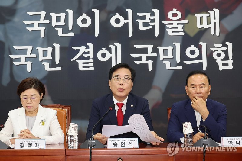 송언석 비상대책위원장 발언 (출처=연합뉴스)