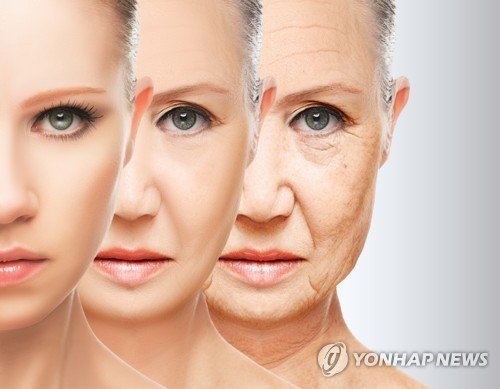 노화 (출처=연합뉴스)
