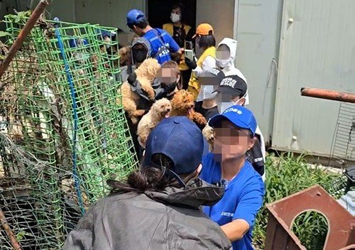 동물보호단체 "반려동물 경매 그만"…'한국형 루시법' 촉구(종합) (출처=연합뉴스)