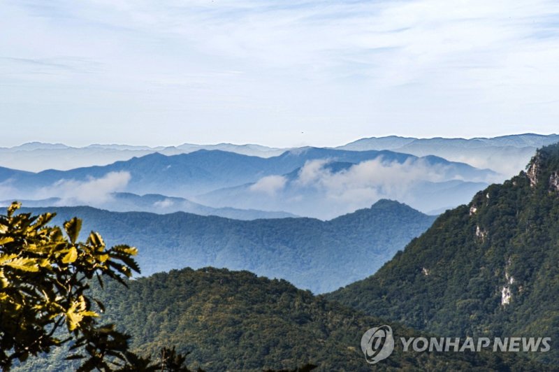 운탄고도 (출처=연합뉴스)