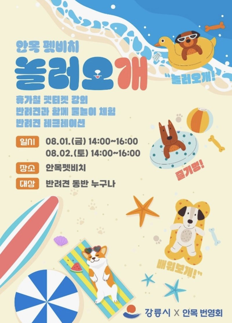 강릉 안목 펫비치 여름 특별 프로그램 홍보물.(강릉시 제공, 재판매 및 DB 금지) 2025.7.31/뉴스1