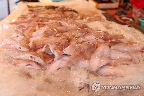 물가자미 (출처=연합뉴스)