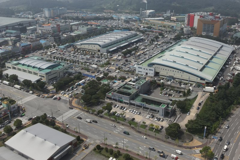 [광주=뉴시스] 광주 서부농수산물도매시장. (사진=뉴시스 DB). photo@newsis.com *재판매 및 DB 금지