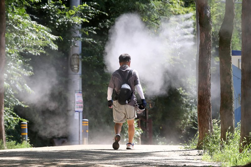 대구 남구 앞산 고산골에서 시민들이 쿨링포그가 가동된 등산로를 걷고 있다. 2025.7.29/바카라사이트 벳무브1 ⓒ News1 공정식 기자