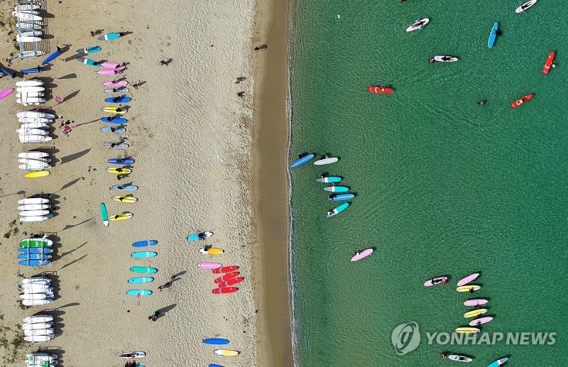 서핑 천국 양양 (출처=연합뉴스)
