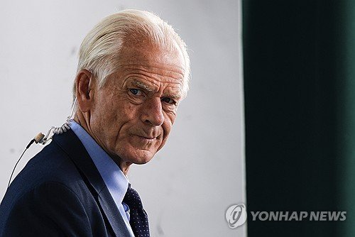 피터 나바로 백악관 무역·제조업 담당 고문 (출처=연합뉴스)