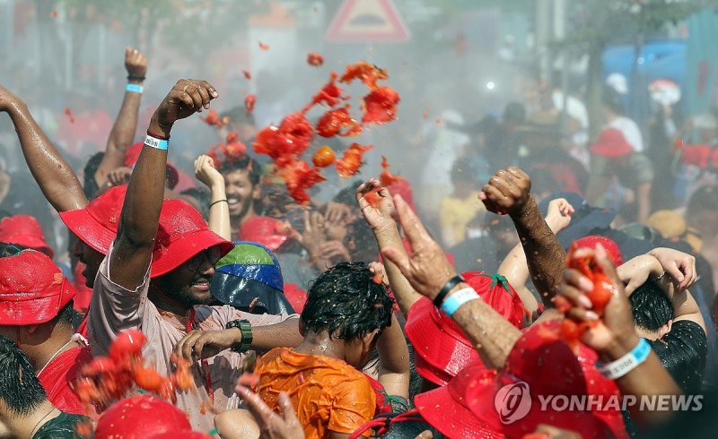 '화천토마토축제 신나요' (출처=연합뉴스)