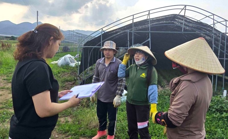 [포항=뉴시스] 송종욱 기자 = 경북 포항시는 4~8일 닷새간 외국인 계절 근로자 고용 현장을 찾아 온열질환 예방 5대 기본 수칙을 중심으로 온열질환 예방 현장 점검을 한다. 사진은 포항시 관계자가 지난 6월17일부터 7월3일까지 외국인 계절 근로자 인권 실태를 점검하는 모습. (사진=포항시 제공) 2025.08.01. photo@newsis.com