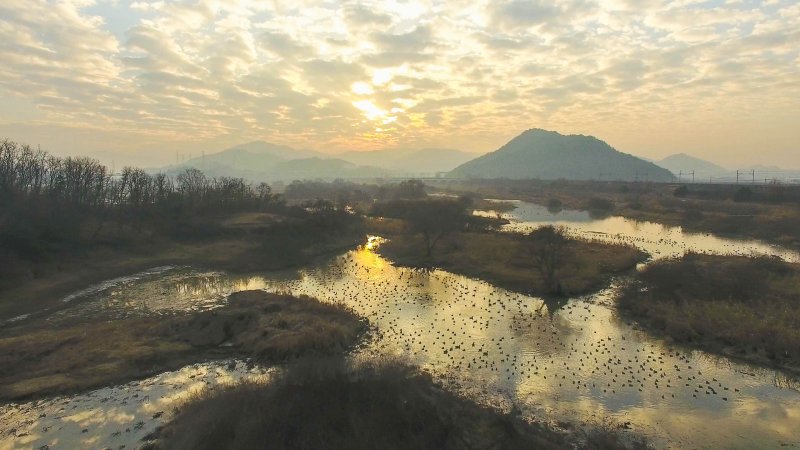 [김해=뉴시스] 홍정명 기자=환경부 공모 ‘제3차 람사르습지도시 인증 국내 후보지’로 선정된 경남 '김해 화포천'.(사진=경남도 제공) 2023.09.04. photo@newsis.com