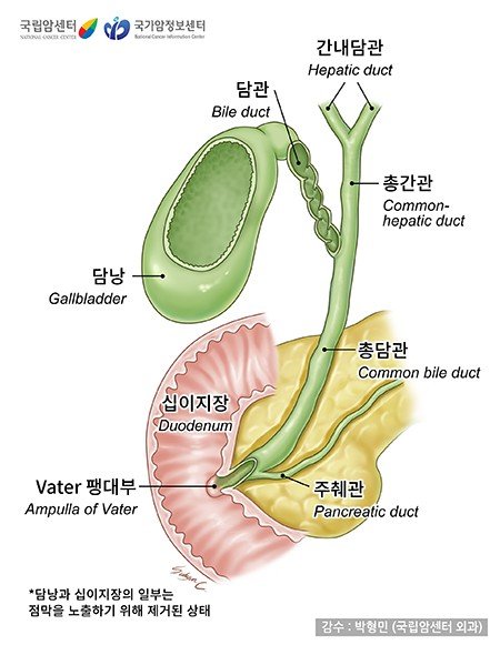[위클리 건강] 산악인 허영호도 넘지 못한 담도암…"조용하지만 치명적" (출처=연합뉴스)