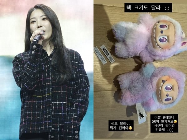 보아도 당했다…야밤에 분노 "라부부 가품이면 책임지세요"
