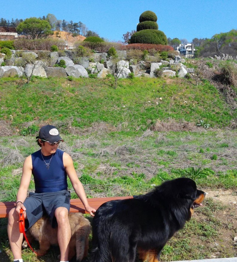 안재욱, 안타까운 소식…"하늘나라서 원없이 뛰어놀길"