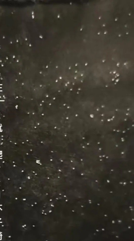 [뉴시스] 한 누리꾼이 촬영해 올린 영상. 극장 좌석 등받이에 하얀 벌레 알로 보이는 물질이 수북이 붙어 있다. (7월 31일, 홍성신문)