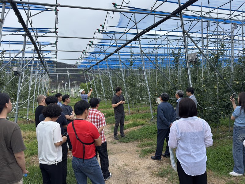 농촌진흥청 사과연구센터 현장기술지원단 컨설팅 모습 (농촌진흥청 제공) 2025.08.03 /뉴스1