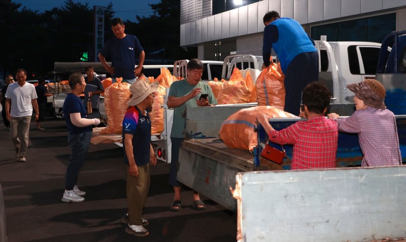 3일 새벽 문을 연 충북 괴산 '홍고추 직거래시장'에서 개장에 앞서 농가들이 분주히 움직이고 있다.(괴산군 제공)/뉴스1