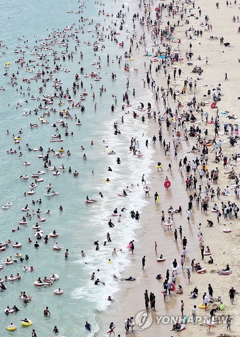 파도와 함께 여름을 (출처=연합뉴스)