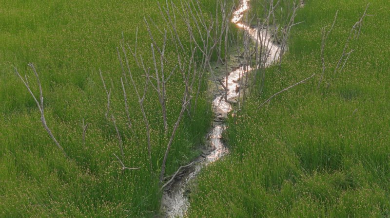 소수빈, 우리 공동의 미래_지속가능한 살림살이(청주시 제공. 재판매 및 DB금지)./뉴스1
