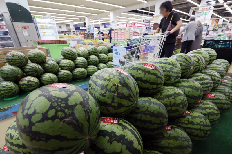 서울의 한 대형마트에서 시민이 수박을 살펴보고 있다. 뉴시스