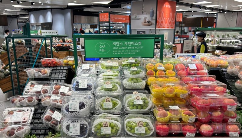 [세종=뉴시스] 사진은 저탄소 농산물 인증을 받은 샤인머스캣. (사진=한국농업기술진흥원 제공) 2025.2.6. photo@newsis.com *재판매 및 DB 금지