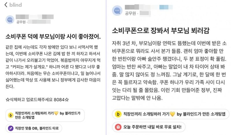 "'이런 기회 만들어준 李정부' 챌린지냐"…공무원이 쓴 '소비쿠폰' 후기에 쏠린 시선