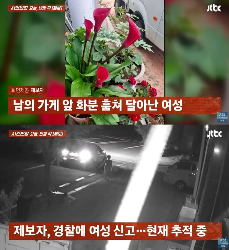 "한밤중 화분 절도" CCTV에 찍힌 여자 보니