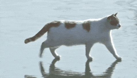 /영상=유튜브 채널 ‘5275 오이칠오’ 캡처