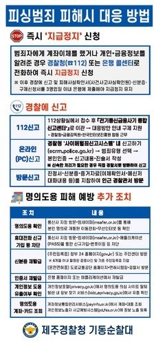 전화금융사기 예방법 (출처=연합뉴스)