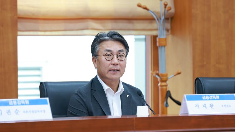 금융감독원 서재완 금융투자부문 부원장. 금감원 제공