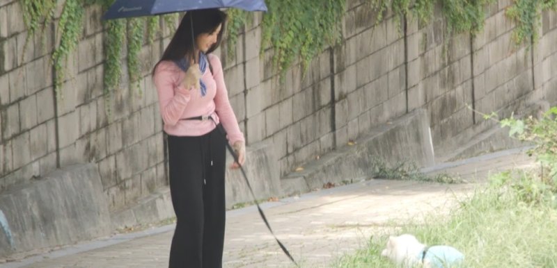 '엉뚱 매력' 이세희 '전참시' 컴백…풀숲에도 벌러덩 '깜짝'