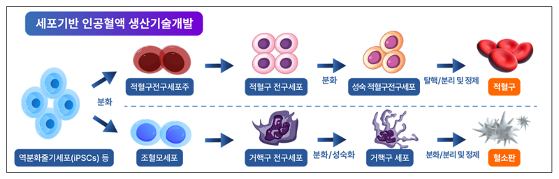 식품의약품안전처 제공