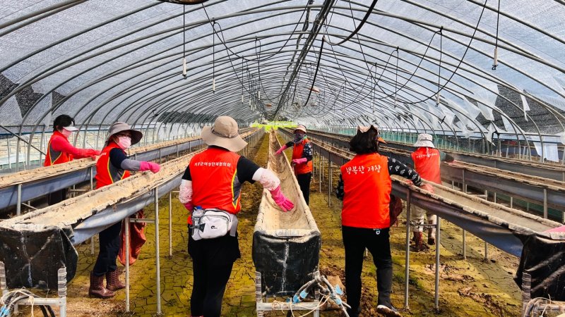 [거창=뉴시스] 거창군 여성단체협의회 산청군 수해복구 자원봉사활동 (사진=거창군 제공) 2025. 08. 08. photo@newsis.com *재판매 및 DB 금지