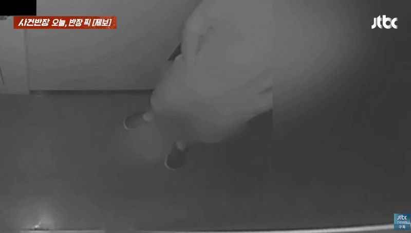 센서등 꺼지자 '소변 테러'…택배 기사는 왜?