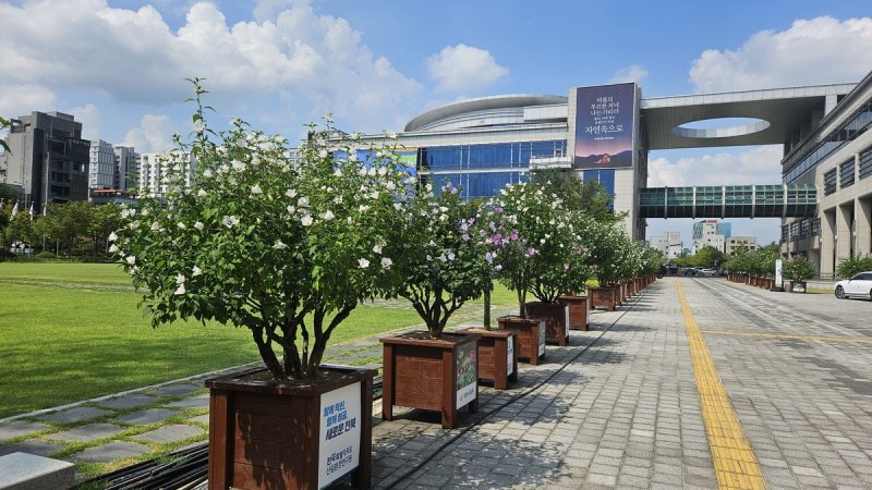 지난해 무궁화 분화 전시회 (출처=연합뉴스)