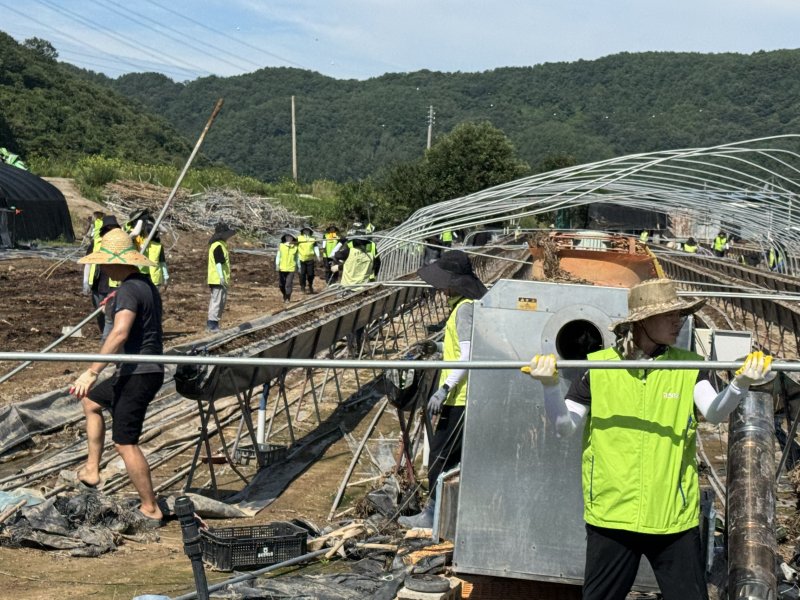 [울산=뉴시스] 울산농협은 8일 경남 합천군 삼가면 제곡마을에서 최근 집중호우로 큰 피해를 입은 농가를 돕기 위해 2차 수해복구 봉사활동을 했다고 밝혔다. (사진=울산농협 제공) 2025.08.08. photo@newsis.com *재판매 및 DB 금지