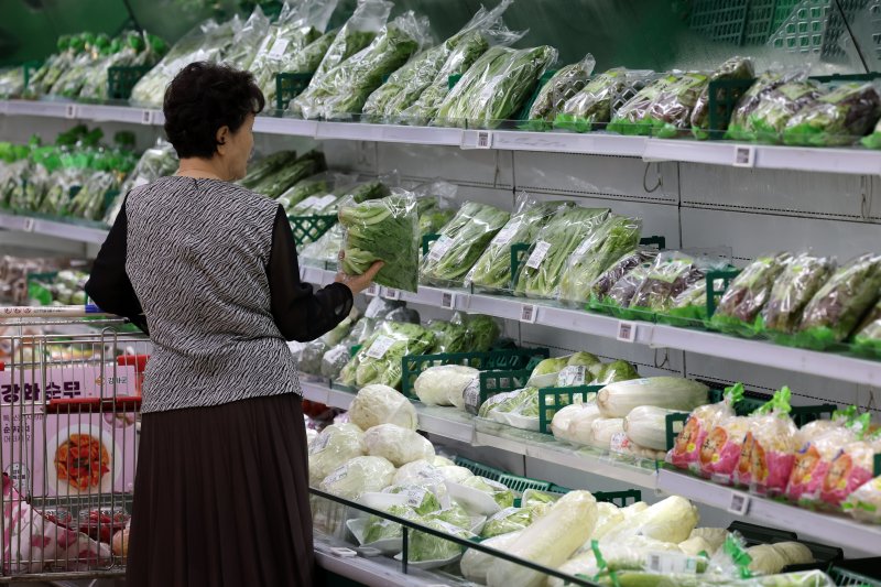 [서울=뉴시스] 조성우 기자 = 5일 서울의 한 대형마트에서 시민이 장을 보고 있다. 2025.08.05. xconfind@newsis.com