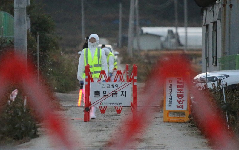 경기도가 가금류 사료 제조업체 14개를 대상으로 긴급 소독 관리 점검을 실시한 결과 모두 이상이 없는 것으로 나타났다. 뉴시스