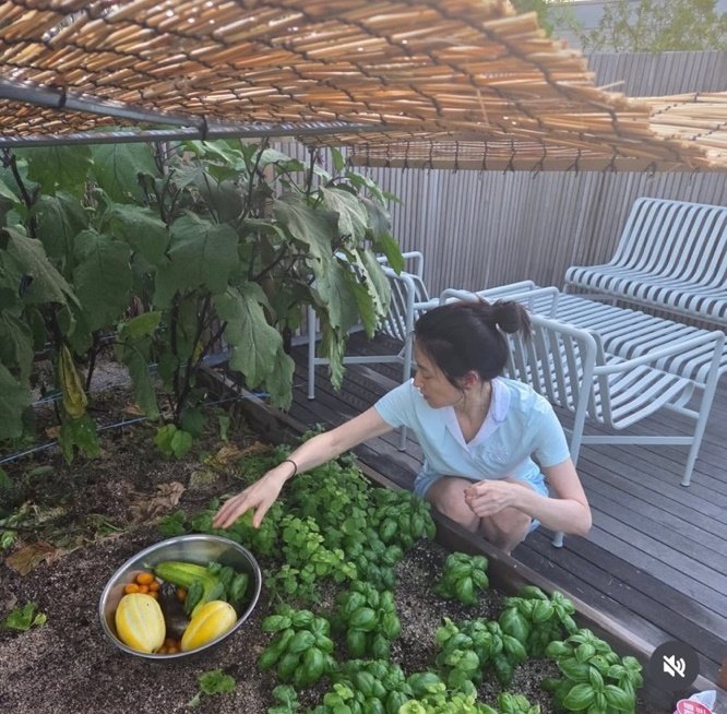텃밭에서 호박 따는 이영애…소탈한 여름 일상 [N컷]