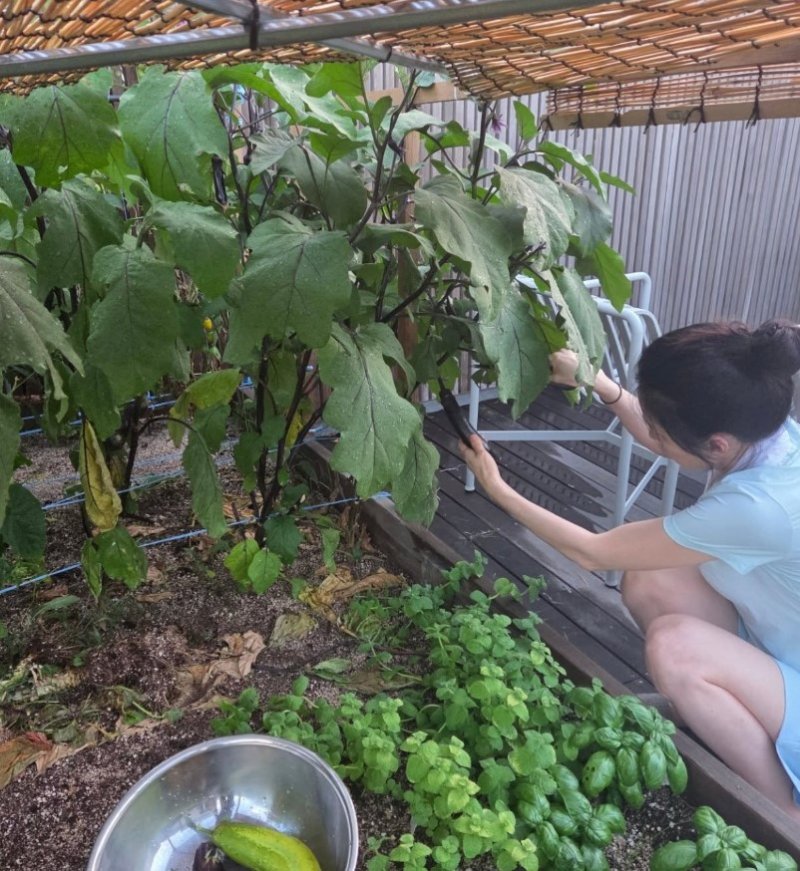 이영애, 농부 변신…참외 수확도 청순하게