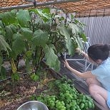이영애, 농부 변신…참외 수확도 청순하게