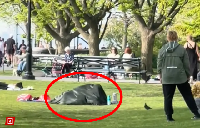 아이들도 있는데... 대낮 공원서 담요 덮은 커플 논란된 이유