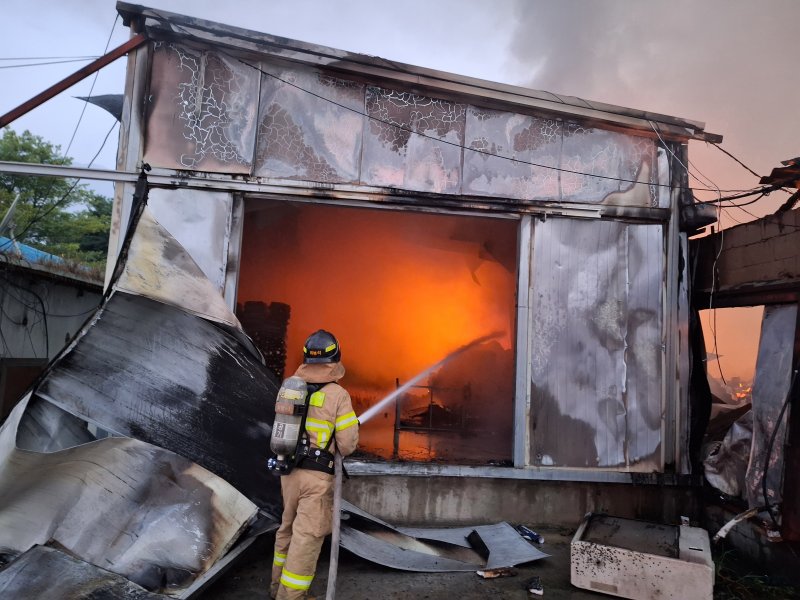 [양주=뉴시스] 양계장 화재 현장. (사진=경기도북부소방재난본부 제공) 2025.08.12. photo@newsis.com