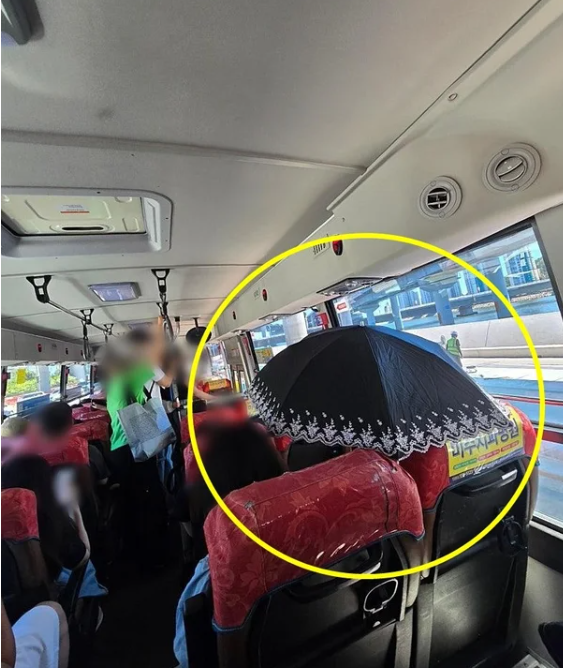 햇볕 뜨겁다며 양산 펼친 곳이 왜…부산 시내버스 승객의 '돌발' 행동