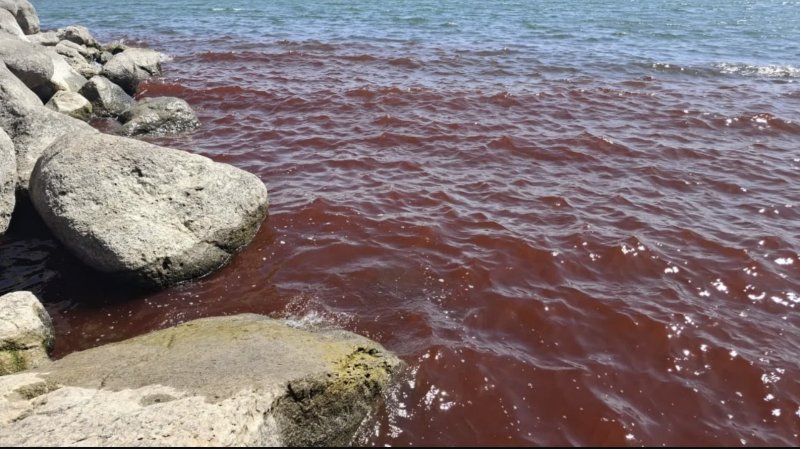 “종말 징조인가” 핏빛으로 붉게 물든 성경 속 그 장소…불안감 확산