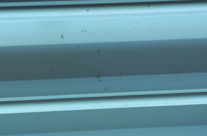 "이 집서 하루도 지내기 싫어" 인천 새 아파트서 발견된 끔찍한 정체