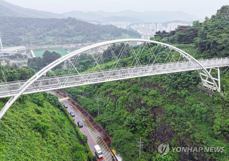 추락 사고 잇따르는 광주 제석산 구름다리 (출처=연합뉴스)