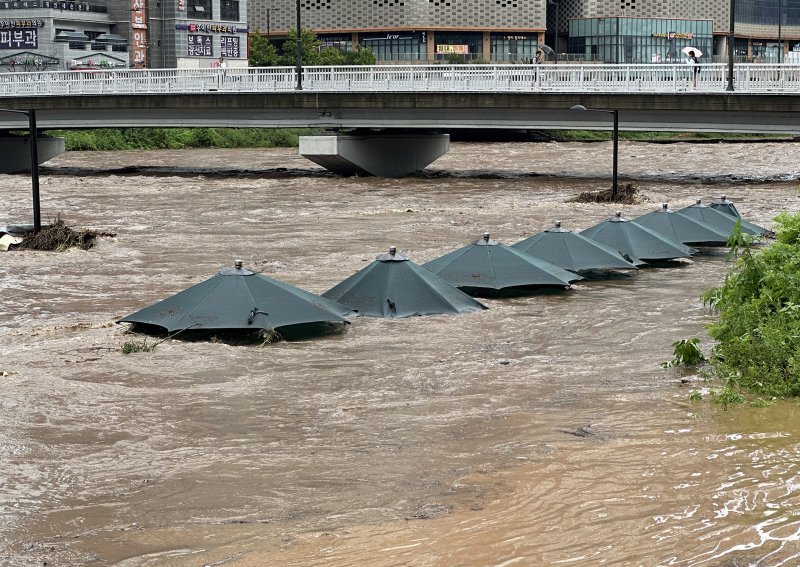 [고양=뉴시스] 홍효식 기자 = 서울을 비롯한 수도권에 호우주의보가 내린 13일 경기 고양시 덕양구 창릉천 일대가 잠겨있다. 2025.08.13. yesphoto@newsis.com